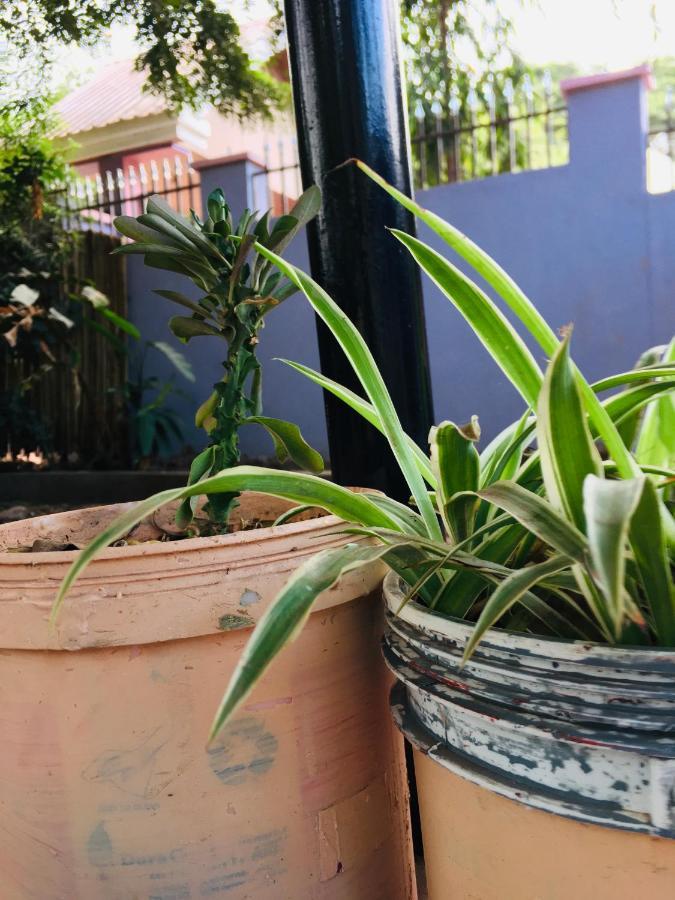 Apartmán Ava Garden Backpackers Mto wa Mbu Exteriér fotografie